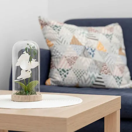 Functional & Cozy In The Center By Renters